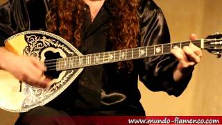 Bouzouki live improvisation [upl. by Janiuszck]