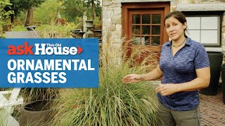 All About Ornamental Grasses  Ask This Old House [upl. by Anni]