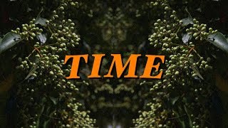 time a photo essay 📷 [upl. by Carolan814]