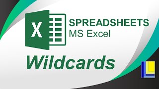 MS Excel  Wildcards [upl. by Arahc795]