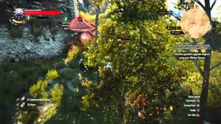 The Witcher 3 Wild Hunt Overburdened and Ambushed without a Scratch [upl. by Llireva980]