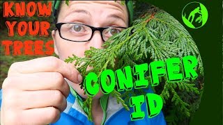 Know Your Trees  Conifer Identification [upl. by Ecnarwal257]