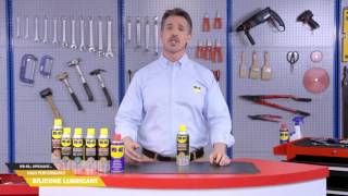 WD40® Specialist™ Silicone Lubricant [upl. by Howie321]