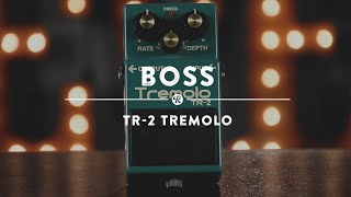 Boss TR2 Tremolo  Reverb Demo Video [upl. by Novj170]