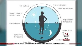 ¿Qué es el reloj biológico [upl. by Rainer362]