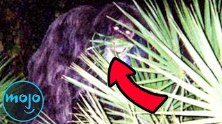 Top 10 Famous Real Life Monsters Caught on Camera [upl. by Lavern]