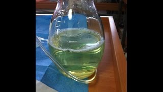 Pleural drainage  liquid color [upl. by Gusella]