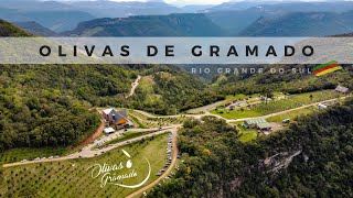 Olivas de Gramado  Vale a pena Passeio incrível pra toda a família [upl. by Chrisman]