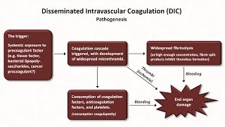 THROMBOCYTOPENIA  Causes  Approach  Treatment  Harrison [upl. by Cochrane124]