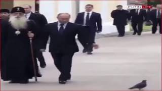 Russian Secret Service Pigeon SALUTES Vladimir Putin [upl. by Pierre329]