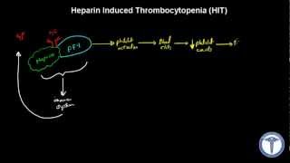 Pharmacology  Thrombolytics Nursing RN PN NCLEX [upl. by Coy]