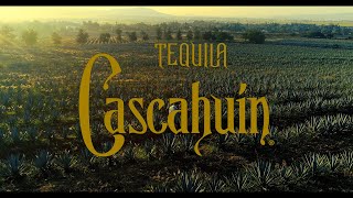 Tequila Cascahuín  Entrevista Salvador Rosales [upl. by Ahtebat]