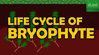 LIFE CYCLE OF BRYOPHYTE [upl. by Horodko]