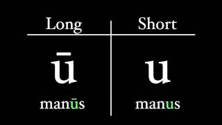 The Latin Alphabet  Vowel Pronunciation [upl. by Arocal]