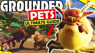 GROUNDED ULTIMATE GUIDE TO PETS Update Pet Perks How To Craft Food And Pet Cosmetics Pet Gnats [upl. by Jannery]