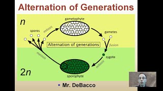 Alternation of Generations [upl. by Valiant11]