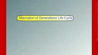 Alternation of Generations Life Cycle [upl. by Ancalin]