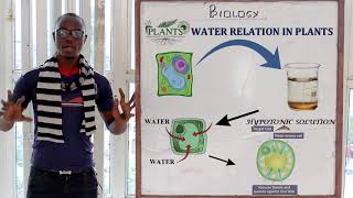 8 Osmosis Biology Form 1 [upl. by Feldman126]