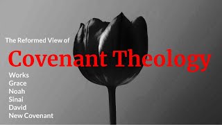 The Reformed View Covenant Theology [upl. by Eniliuqcaj945]