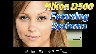 Nikon D500 Tutorial Part 2  How To Focus Training [upl. by Labina]