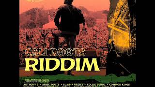 Cali Roots Riddim Mix Full Feat Etana Collie Buddz Anthony B Gentleman Jesse Royal May 2020 [upl. by Glasgo254]