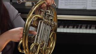 How to Play the French Horn [upl. by Feldman]