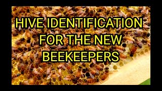 Honeybee Hive Identification For The New Beekeepers [upl. by Dymoke]