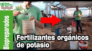 FERTILIZANTES ORGÁNICOS 🍌🍌 de POTASIO para la huerta AGROECOLÓGICA [upl. by Eniowtna]