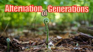 On Alternation of Generations [upl. by Arerrac38]