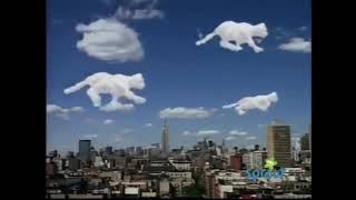 Sesame street Cats aper the clouds [upl. by Ludmilla673]