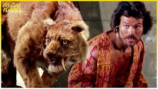 Sinbad Fights Zenobia  Sinbad and the Eye of the Tiger  Creature Features [upl. by Moreen]