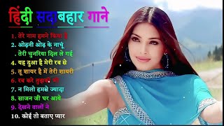 Dil Tera Deewana – Lily Matinez  Official Exclusive [upl. by Koblick575]