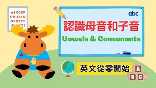 【英文從零開始】認識母音和子音｜Vowels amp Consonants｜Boro English [upl. by Casta530]