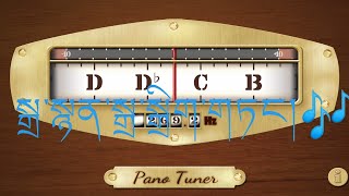 How to tune your musical instrument Dranyen by using Pano Tuner app 🎵🎶TashiDolma [upl. by Akcemat]