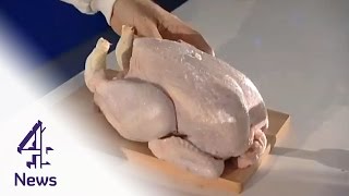 See how the Campylobacter chicken bug spreads in a kitchen  Channel 4 News [upl. by Ynaffit]