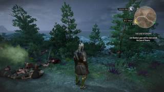 The Witcher 3 Wild Hunt  Easiest Overkill TrophyAchievement [upl. by Aniweta]