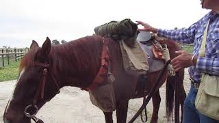 Australian Light Horse 1914 horse kit [upl. by Ahsilahs]