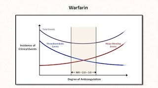 Understanding Immune Thrombocytopenia Perspectives in ITP [upl. by Kristoforo]