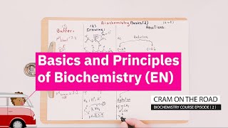 Biochemistry Basics and Principles [upl. by Nainatrad]