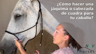 🐴Cómo hacer una jáquima o cabezada de cuadra para caballo🐴 [upl. by Ham]