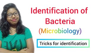 Identification of Bacteria MICROBIOLOGY [upl. by Kathlene]