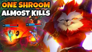 SHROOM BUILD TEEMO has NEVER BEEN BETTER 1 Shroom does over 1k EASILY [upl. by Annie232]