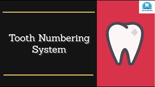 How To Learn Tooth Numbering System Tips and Tricks [upl. by Otipaga930]