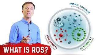 What Are Reactive Oxygen Species ROS  Dr Berg [upl. by Ayra971]