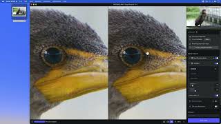 Topaz Photo AI Quick Start Video [upl. by Aihsenet90]