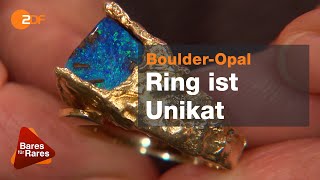 Millionen Jahre alt Elemente aus der Kreidezeit  Bares für Rares vom 16112020 [upl. by Tsenrae]