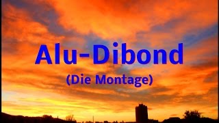 AluDibond Die Montage [upl. by Aynatan533]