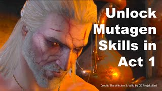 EUPHORIA at level 18 Unlock the Mutagen Tree in Act 1 of the WITCHER 3 low level witcher3 [upl. by Mehta]