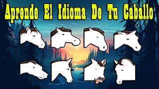 Como Hablar Con Tu Caballo Tiene Mucho Que Decirte🐴Del Cerro Soy [upl. by Annerol]