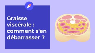 Graisse viscérale  comment sen débarrasser   Coaching Nutrition [upl. by Leugimsiul]